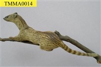 Small Chinese Civet Collection Image, Figure 6, Total 11 Figures